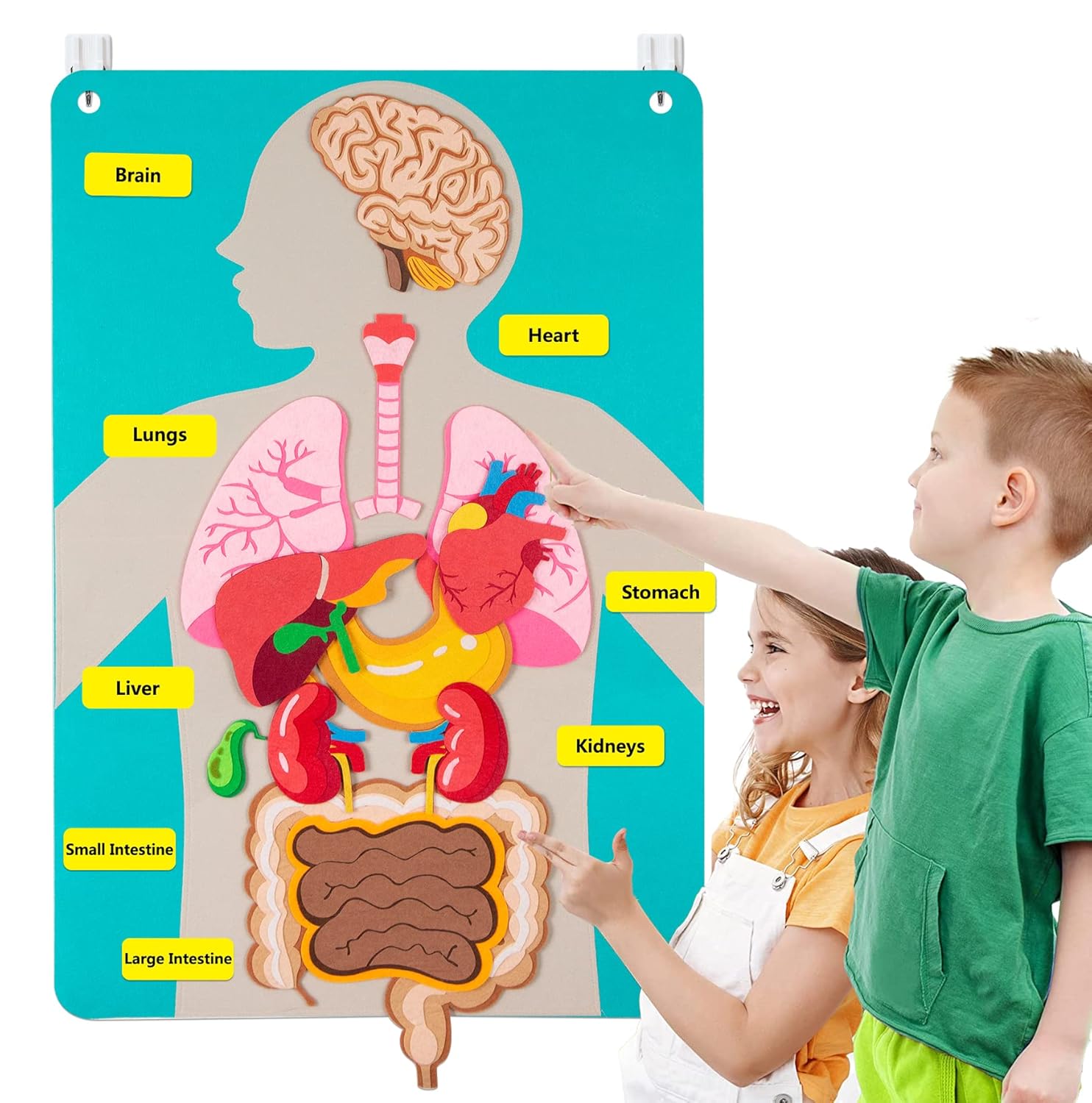 Kids Education Story - Piezas del cuerpo humano, tablero de
