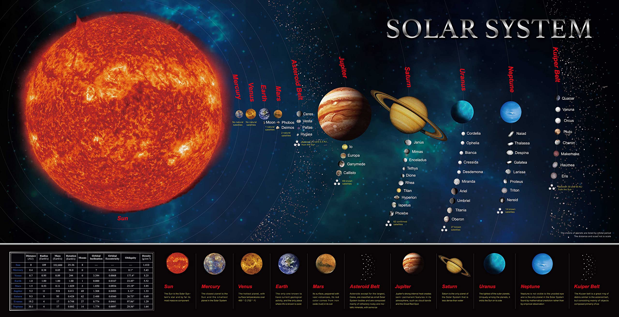 Pancarta de ciencia educativa  - Background For Kids Education reseña y precio