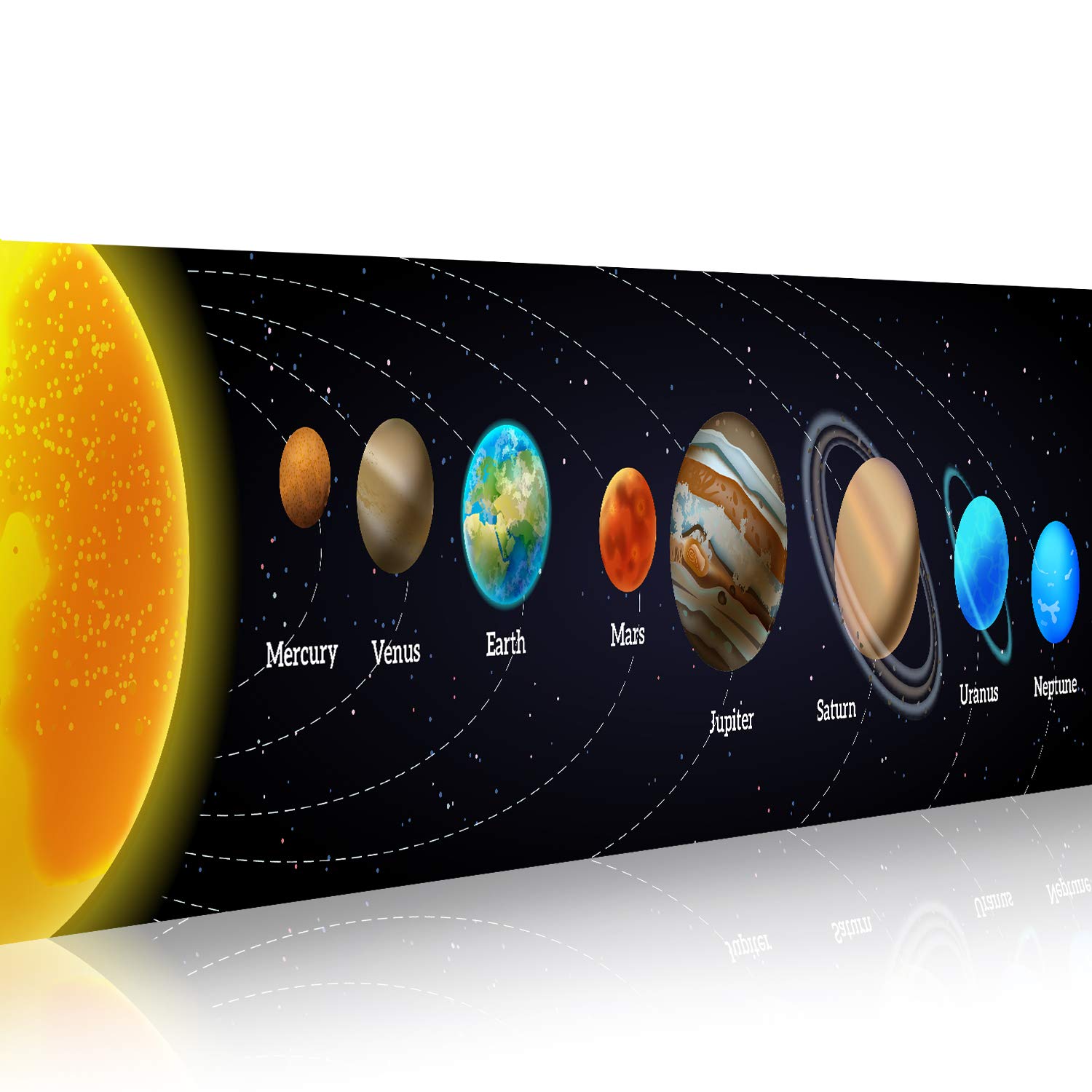 Pancarta de ciencia educativa  - Background For Kids Education reseña y precio